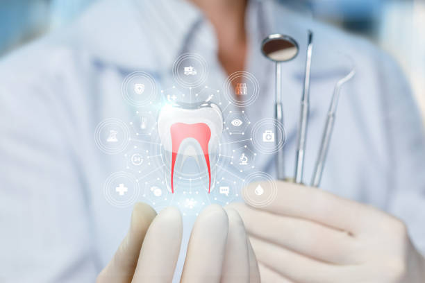 Best Laser Dentistry  in Carrollwood, FL